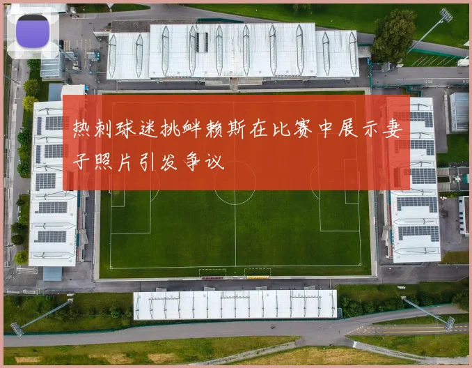 热刺球迷挑衅赖斯在比赛中展示妻子照片引发争议