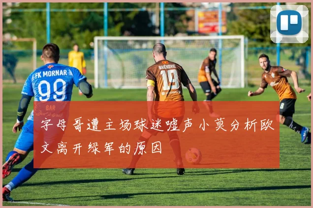 字母哥遭主场球迷嘘声小莫分析欧文离开绿军的原因