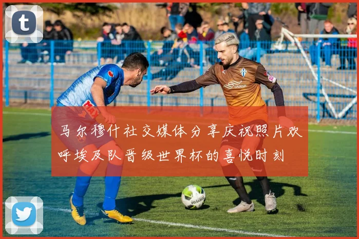 马尔穆什社交媒体分享庆祝照片欢呼埃及队晋级世界杯的喜悦时刻