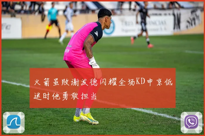 火箭虽败谢泼德闪耀全场KD申京低迷时他勇敢担当