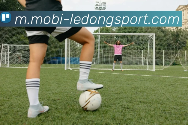 乐动体育服务体系